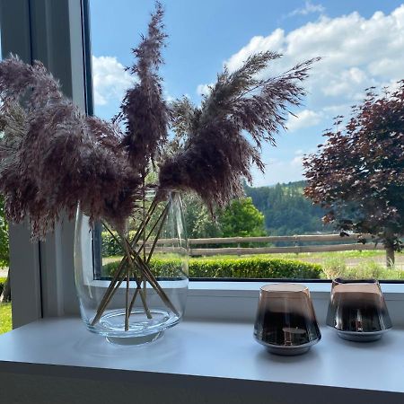 Ferienwohnung Allenberg-Panorama Winterberg Eksteriør billede